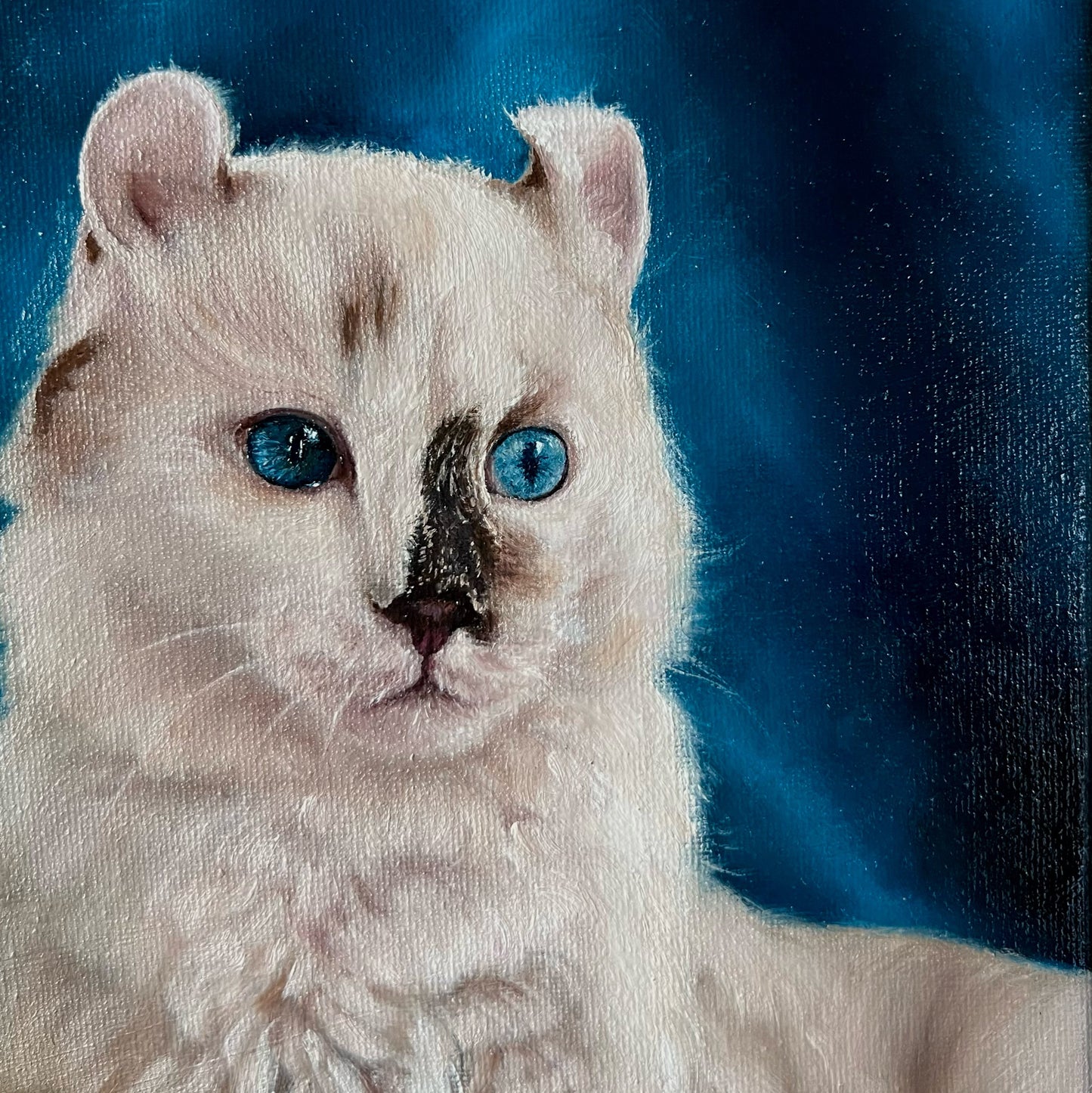 American Curl Cat Oil Painting on Canvas